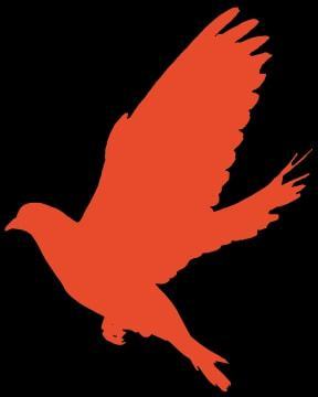 東陽(yáng)重點(diǎn)監(jiān)測(cè)企業(yè)復(fù)工率達(dá)93%，彈性織帶行業(yè)展現(xiàn)強(qiáng)勁韌性